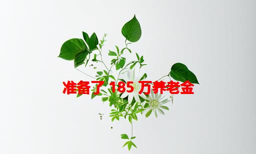 准备了 185 万养老金